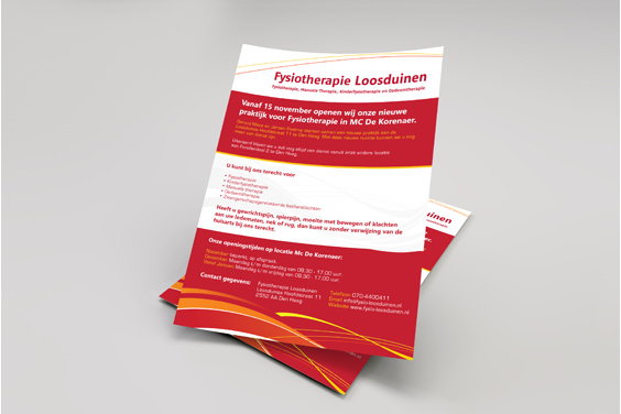 reclame-fysiotherapie-loosduinen-a3-poster-overzicht